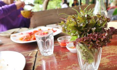 Organik marul bardak su