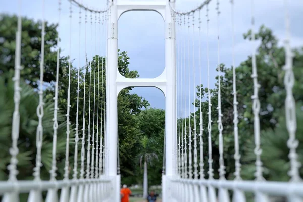 White Suspension Bridge Park — Stock Photo, Image