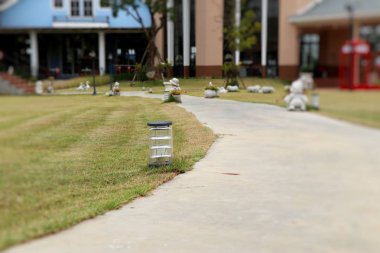 Parkta yürüyüş yolu