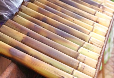 BAMBOO 'NUN İÇİN EŞİLDİ