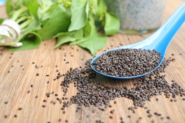 Taze fesleğen tohumu