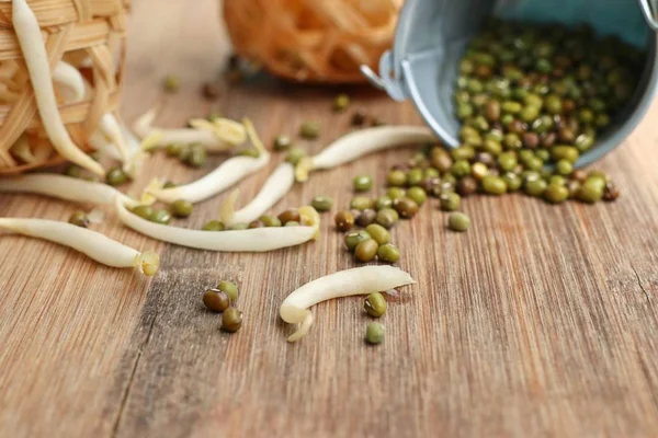 Germogli Fagioli Con Seme — Foto Stock