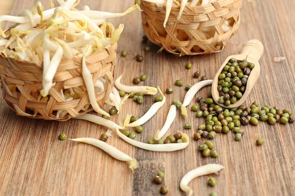 Bean Sprouts Seed — Stock Photo, Image