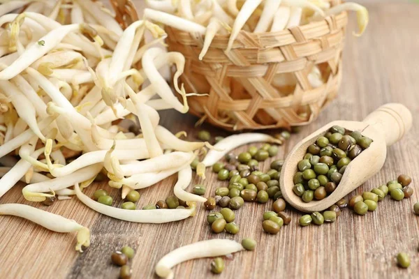 Bean Sprouts Seed — Stock Photo, Image