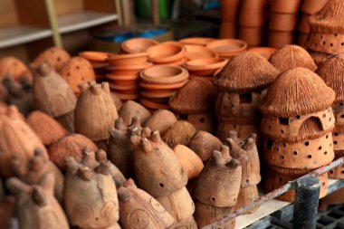 Saksı bitki çiçekçi