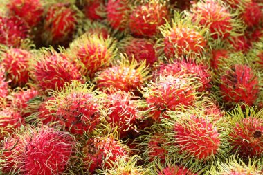 Rambutan sokak gıda