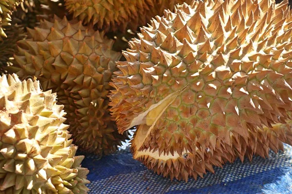 Fruta Durian Comida Rua — Fotografia de Stock