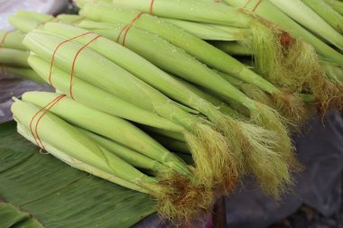 Markette taze Mısır