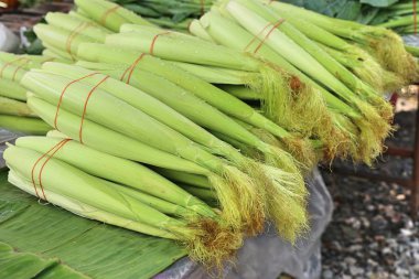 Markette taze Mısır