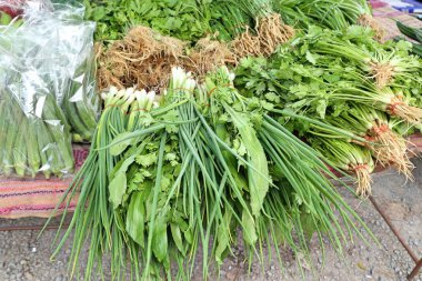 taze soğan ve kişniş Market