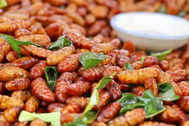 Fried böcek sokak gıda