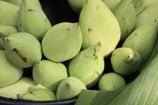 Flor Loto Mercado — Foto de Stock