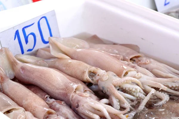 Verse Squid Markt — Stockfoto