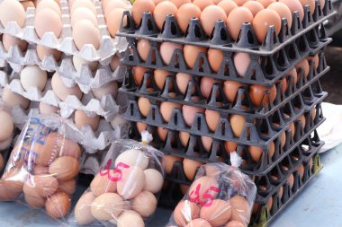 kahverengi yumurta içinde belgili tanımlık çarşı