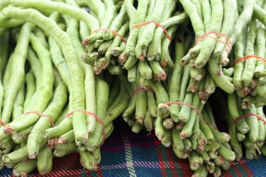 Pazar uzun fasulye
