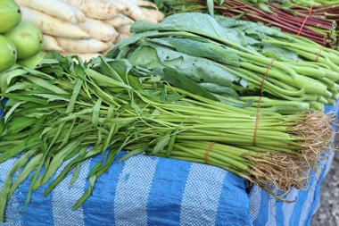 taze soğan ve kişniş Market