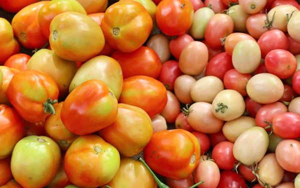 Tomaten Markt — Stockfoto