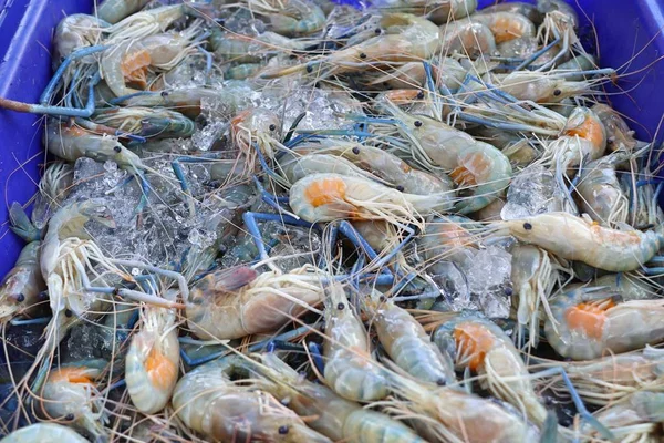 Crevettes Fraîches Nourriture Rue — Photo