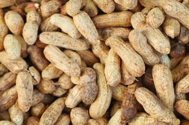 Haşlanmış fıstık sokak gıda