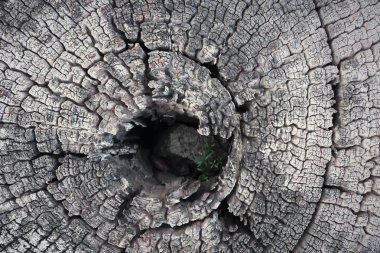 Eski vintage antika ahşap