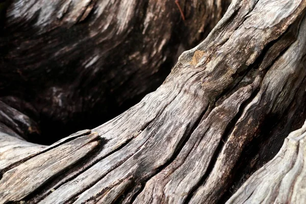 古いビンテージ アンティーク木材 — ストック写真