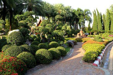 İngiltere'de tropikal bahçede