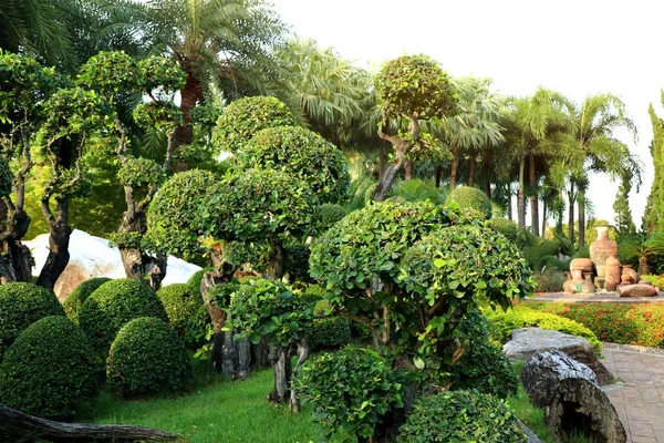 İngiltere'de tropikal bahçede