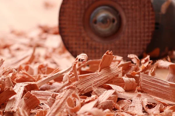 Wood Sawdust Tools — Stock Photo, Image