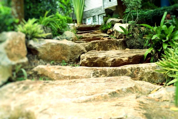 Kamenná Cesta Zahradě — Stock fotografie