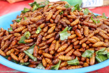 Fried böcek sokak gıda