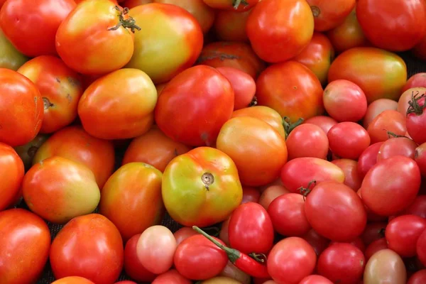 Frische Tomaten Auf Dem Markt — Stockfoto