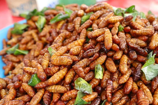 Fried böcek sokak gıda