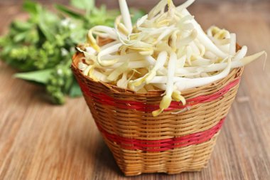 Fasulye filizi ile tohum