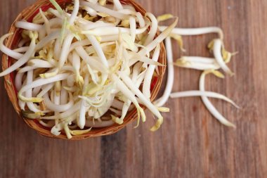 Fasulye filizi ile tohum