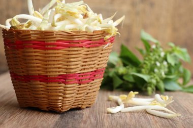 Fasulye filizi ile tohum