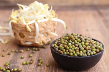 Fasulye filizi ile tohum