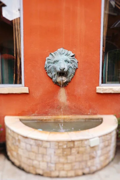 Lion Statue Spitting Water — Stock Photo, Image