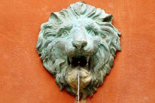 Λιοντάρι Άγαλμα Φτύνει — Stock fotografie