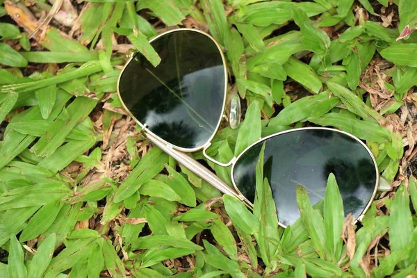 Óculos Sol Grama Verde — Fotografia de Stock