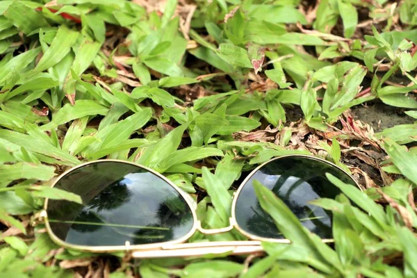 Солнечные Очки Зеленой Траве — стоковое фото