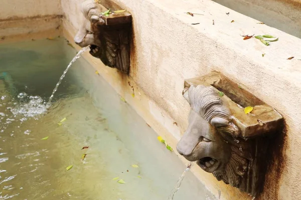 Löwenstatue Spuckt Wasser — Stockfoto