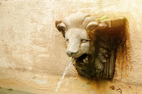 狮子雕像随地吐痰水 — 图库照片