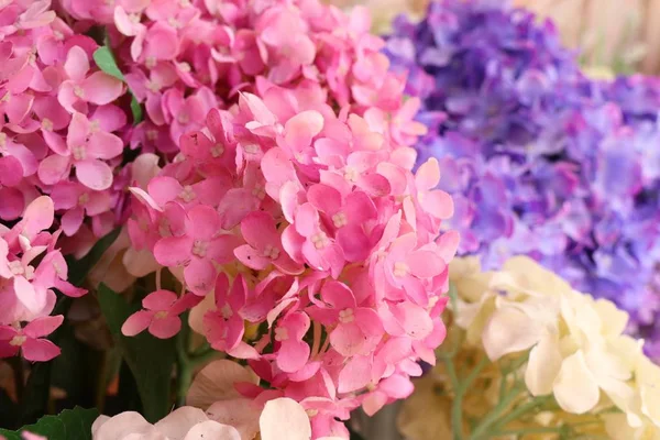 Beautyful Hortensje Kwiaty Sztuczne — Zdjęcie stockowe