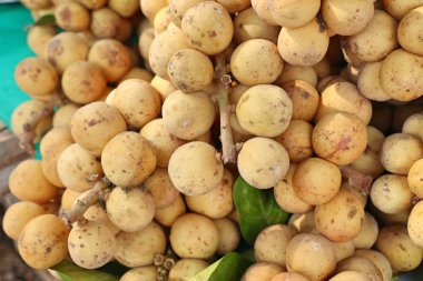 Wollongong meyve Market                               