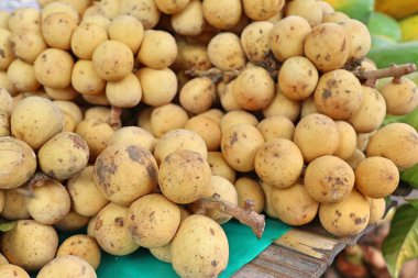 Wollongong meyve Market                               