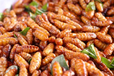 Fried böcek sokak gıda