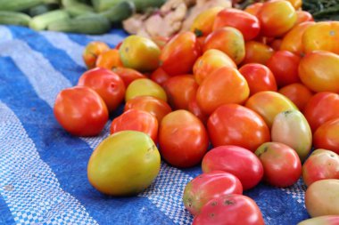 Pazarda taze domates
