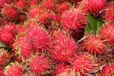 Rambutan sokak gıda
