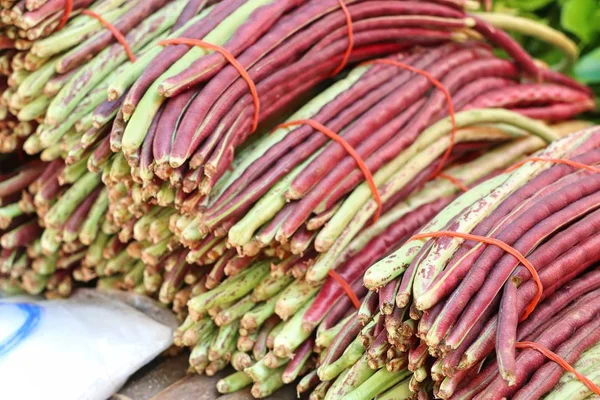 Fagioli Lunghi Mercato — Foto Stock