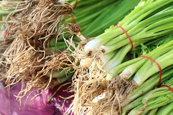 Spring Onions Market — Stock Photo, Image